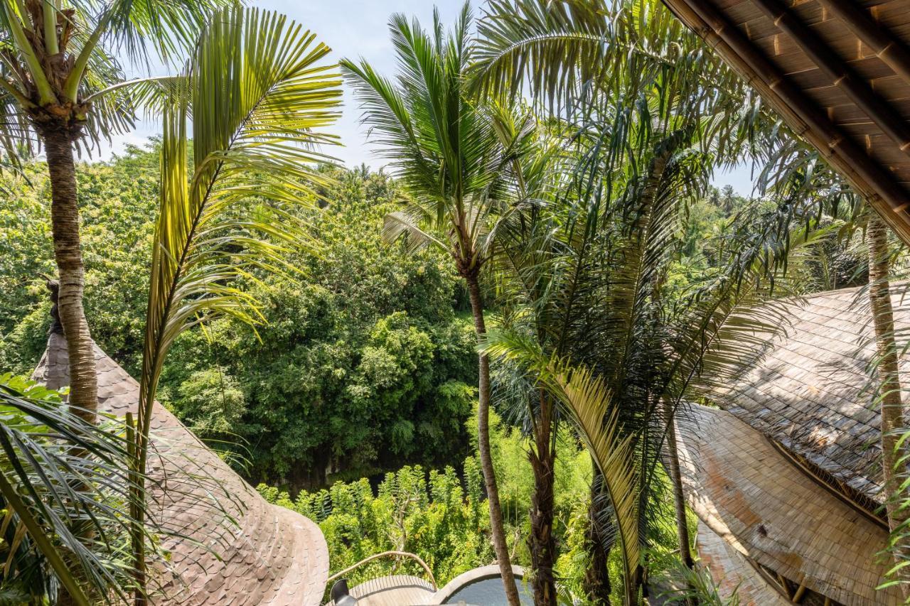 Eclipse House 4Bds Eco Bamboo House Pool Riverview Bringkit Bagian luar foto